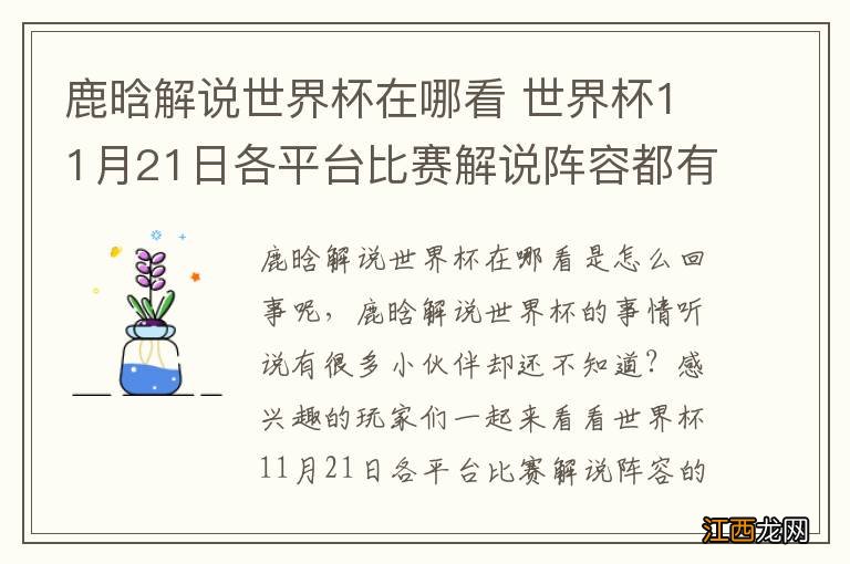 鹿晗解说世界杯在哪看 世界杯11月21日各平台比赛解说阵容都有哪些