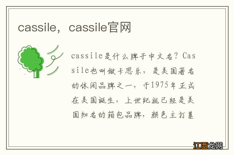 cassile，cassile官网