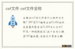 csf文件 csf文件全称