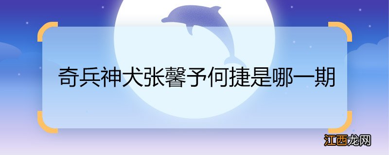 奇兵神犬张馨予何捷是哪一期 奇兵神犬张馨予何捷是第几期