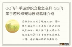 QQ飞车手游纱织宠物怎么样 QQ飞车手游纱织宠物技能羁绊介绍