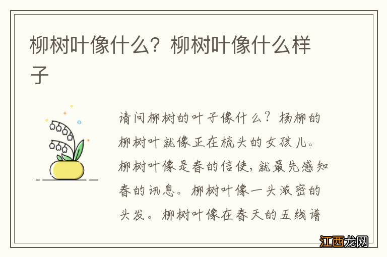 柳树叶像什么？柳树叶像什么样子