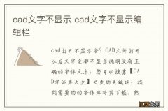 cad文字不显示 cad文字不显示编辑栏