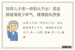 刘烨儿子诺一帅到认不出！混血颜值满是少年气，建模脸似贵族王子