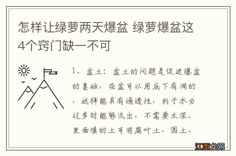 怎样让绿萝两天爆盆 绿萝爆盆这4个窍门缺一不可