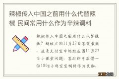 辣椒传入中国之前用什么代替辣椒 民间常用什么作为辛辣调料