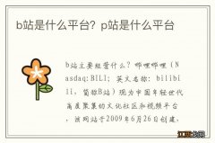 b站是什么平台？p站是什么平台