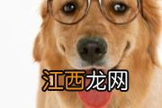 狂犬疫苗期间又被咬了 打狂犬疫苗期间又被咬了怎么办