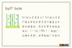 byt？byte