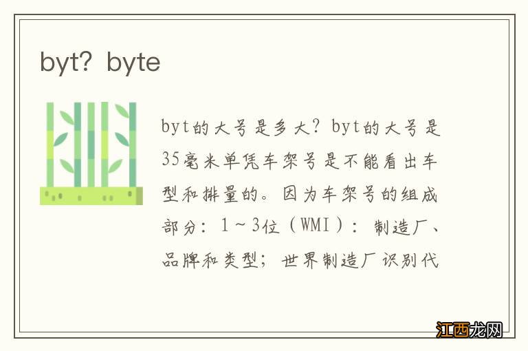 byt？byte