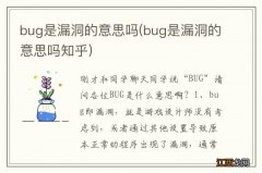 bug是漏洞的意思吗知乎 bug是漏洞的意思吗