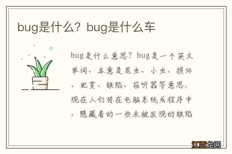 bug是什么？bug是什么车