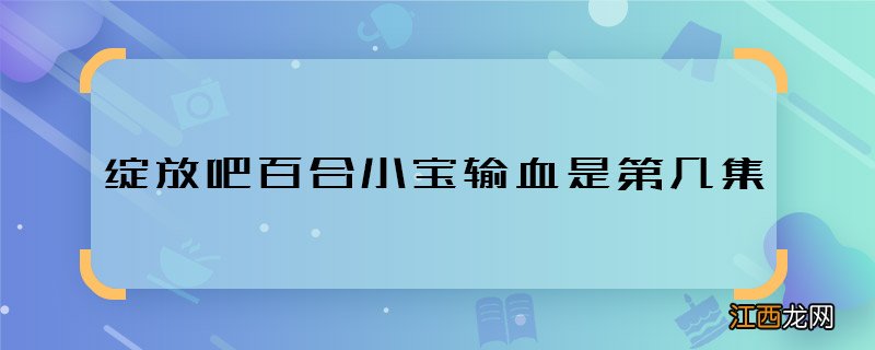 绽放吧百合小宝输血是第几集 绽放吧百合小宝输血剧情