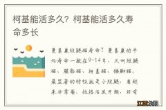 柯基能活多久？柯基能活多久寿命多长