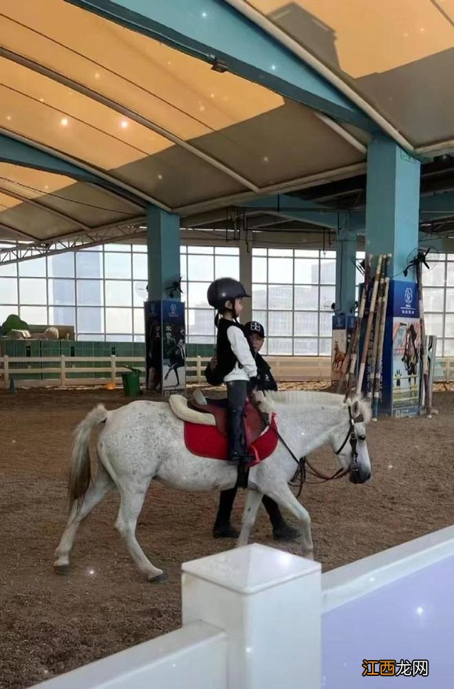 朱丹晒5岁女儿骑马照,女儿圆脸长睫毛身高瞩目,直立骑马好大胆