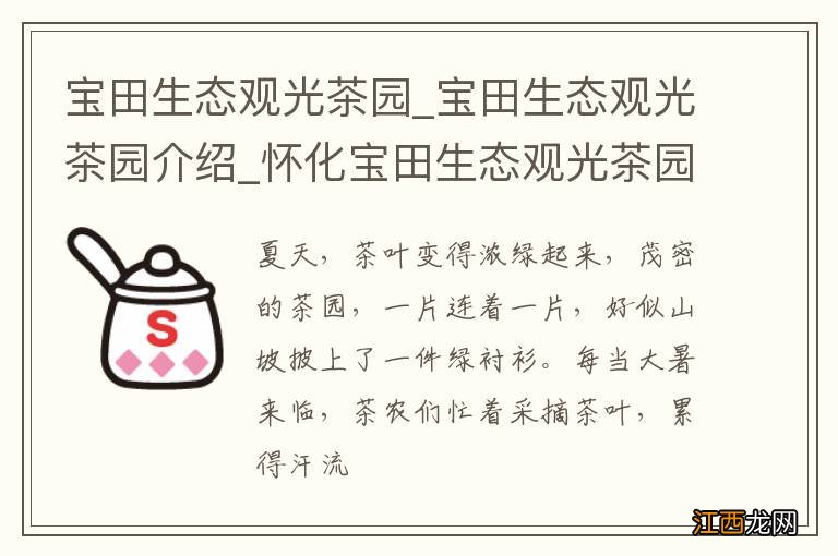 宝田生态观光茶园_宝田生态观光茶园介绍_怀化宝田生态观光茶园旅游攻略