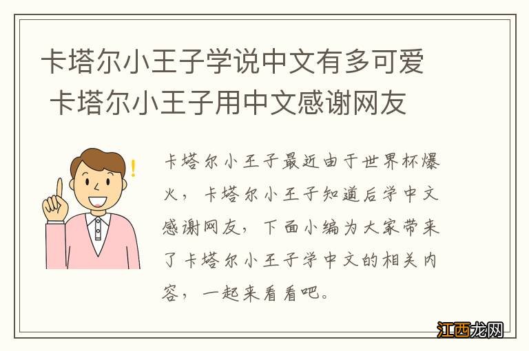 卡塔尔小王子学说中文有多可爱 卡塔尔小王子用中文感谢网友