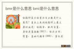 bmr是什么意思 bmi是什么意思