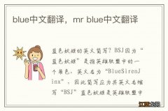 blue中文翻译，mr blue中文翻译