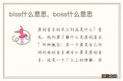 biss什么意思，boss什么意思