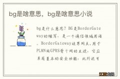 bg是啥意思，bg是啥意思小说