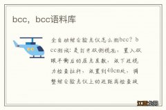 bcc，bcc语料库