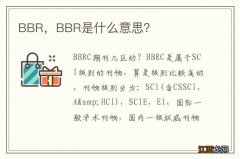 BBR，BBR是什么意思？