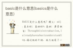 basics是什么意思 basic是什么意思