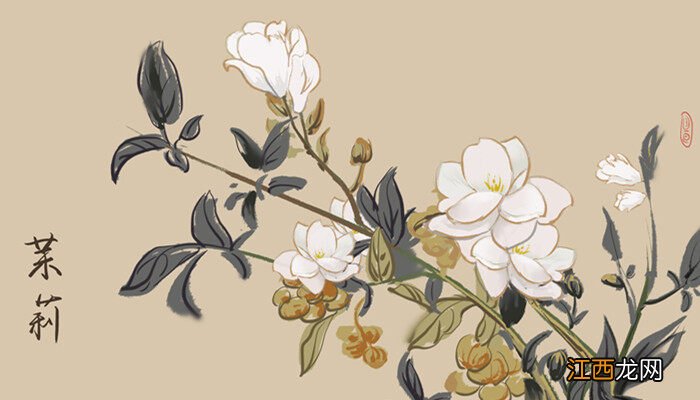 茉莉花喜欢阳光还是阴凉 茉莉花多久浇一次水