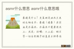 asmr什么意思 asmr什么意思哦