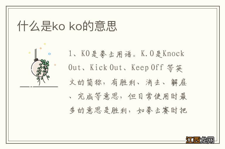 什么是ko ko的意思