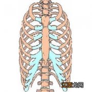 两边肋骨疼是怎么回事