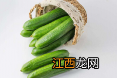 冬季吃萝卜的禁忌有哪些?冬季吃萝卜要注意什么禁忌?