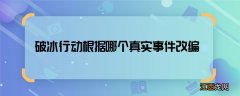 破冰行动根据哪个真实事件改编 破冰行动的故事原型