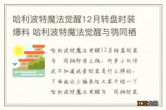 哈利波特魔法觉醒12月转盘时装爆料 哈利波特魔法觉醒与鸮同栖时装一览