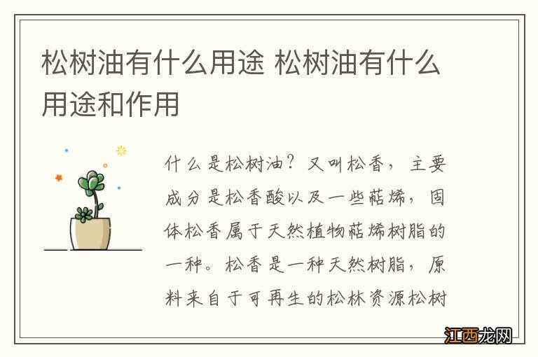 松树油有什么用途 松树油有什么用途和作用