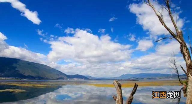 秋天的大理,美得令人心醉!