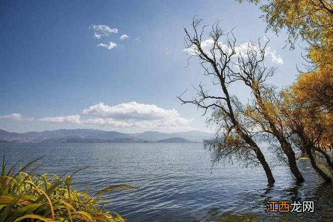 秋天的大理,美得令人心醉!