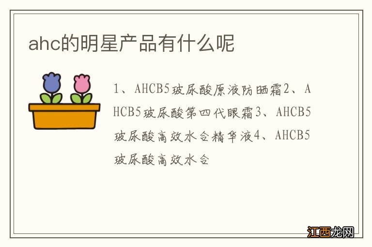 ahc的明星产品有什么呢