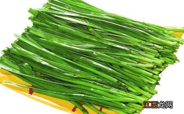 韭菜的药用功效有哪些？吃韭菜的禁忌是什么？