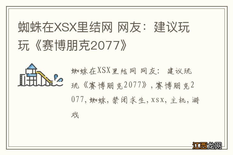 蜘蛛在XSX里结网 网友：建议玩玩《赛博朋克2077》