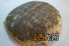 猪蹄有哪些营养价值有哪些?怎样吃猪蹄养生效果好?