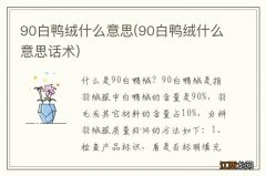 90白鸭绒什么意思话术 90白鸭绒什么意思