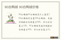 90白鸭绒 90白鸭绒价格