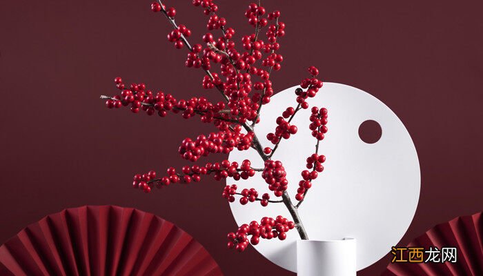 北美冬青的花语和寓意和象征 北美冬青的花语和寓意