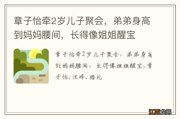 章子怡牵2岁儿子聚会，弟弟身高到妈妈腰间，长得像姐姐醒宝