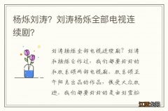 杨烁刘涛？刘涛杨烁全部电视连续剧？