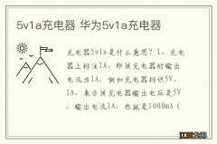 5v1a充电器 华为5v1a充电器