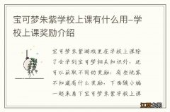 宝可梦朱紫学校上课有什么用-学校上课奖励介绍