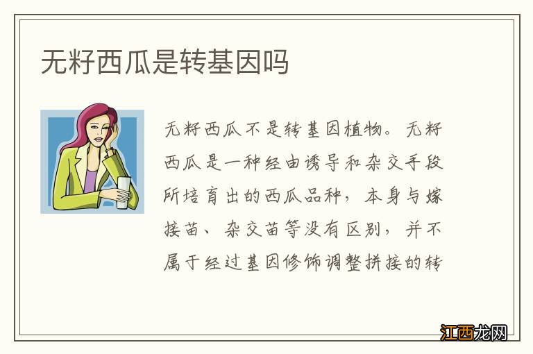 无籽西瓜是转基因吗